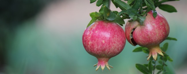 Velas-limpar casa-banho-havdalá em Rosh Hashaná