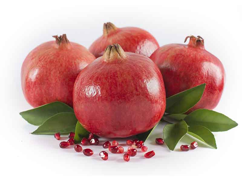 SEGUNDA NOITE DE ROSH HASHANA