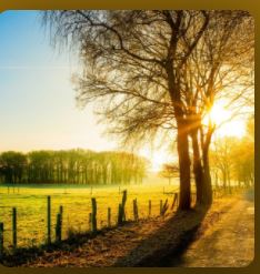 Ciclo – Um dia iluminado 1